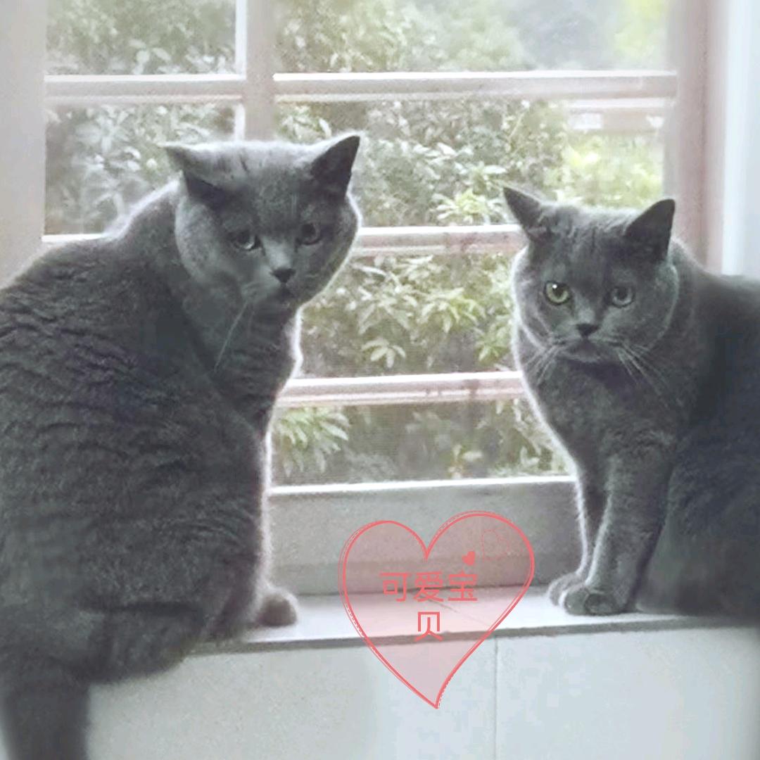 内心向阳无忧伤