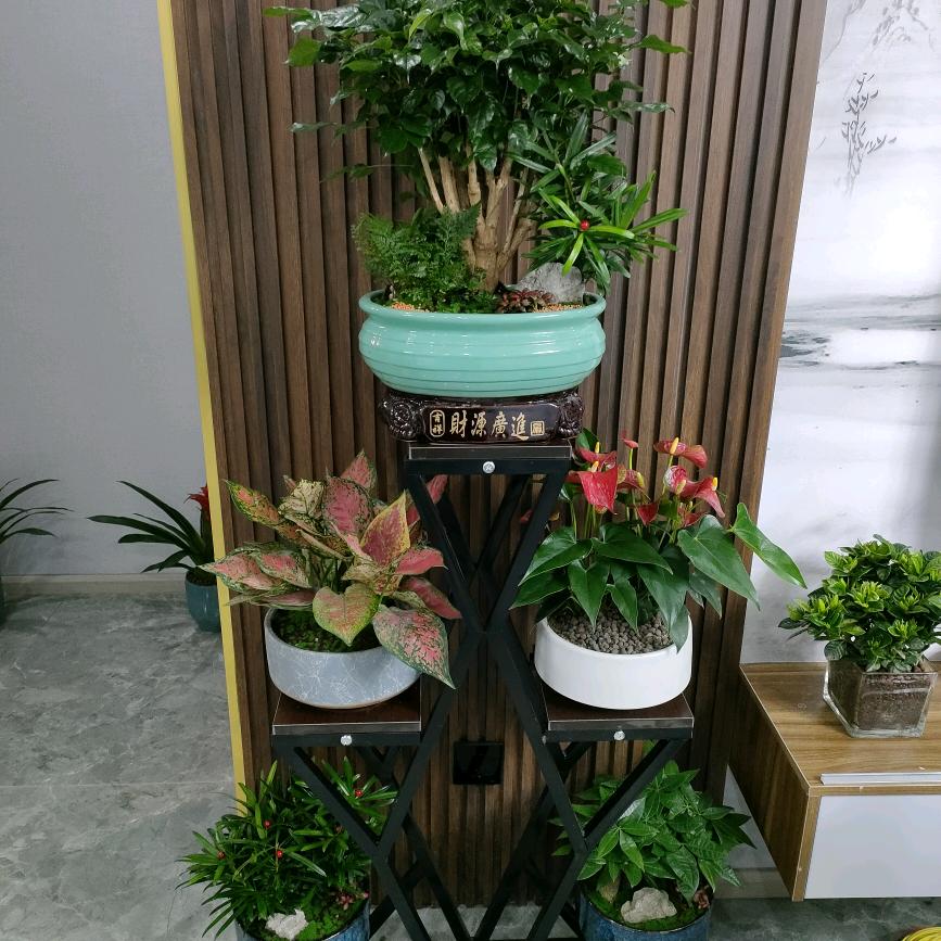 独行者