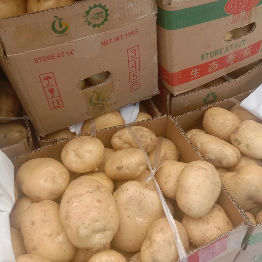 张孝峰土豆批发