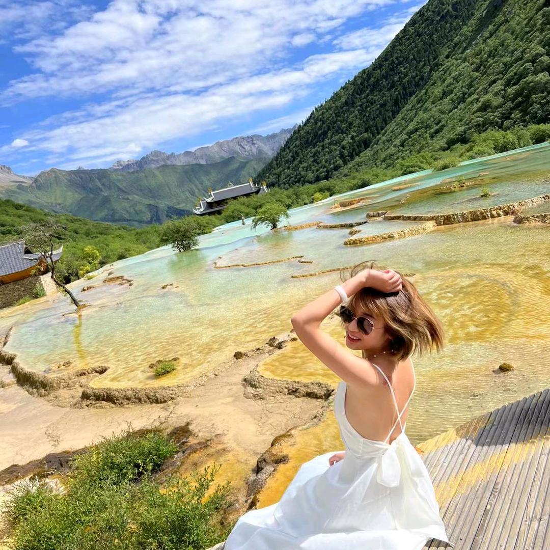 ☘️故事的小黄花🌼