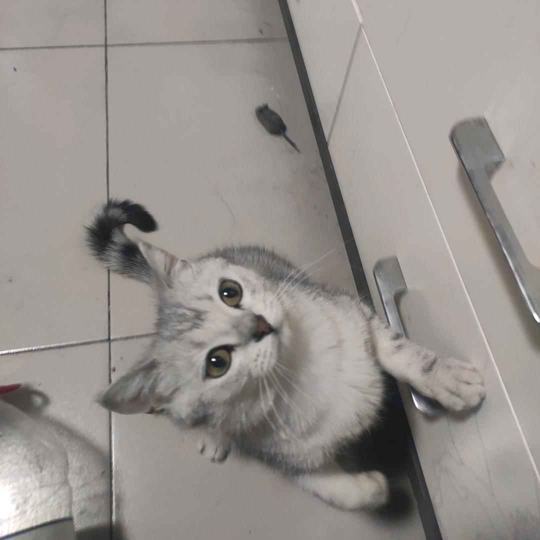 装出来的微笑