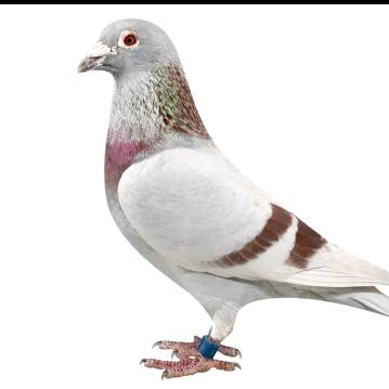 詹森麦克斯育种基地