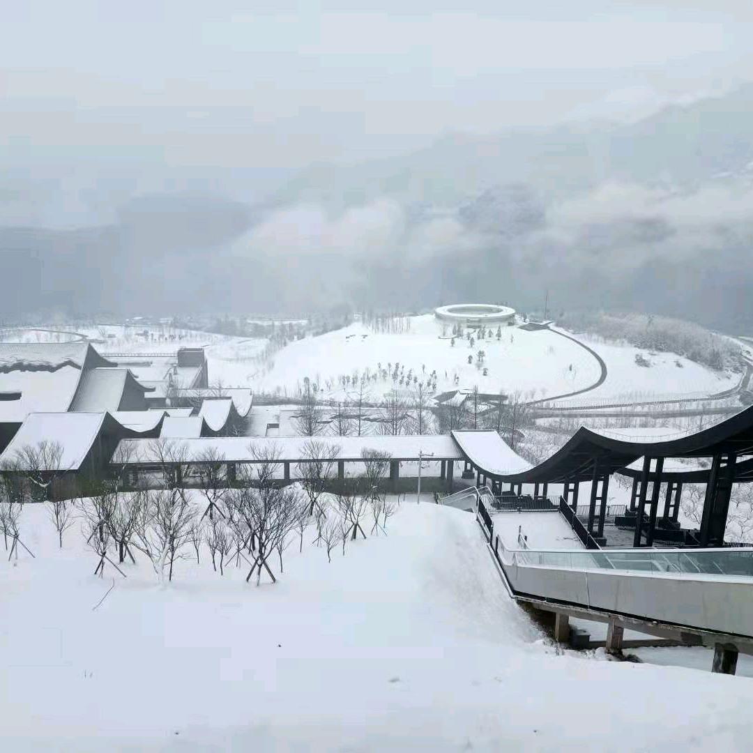 陈二