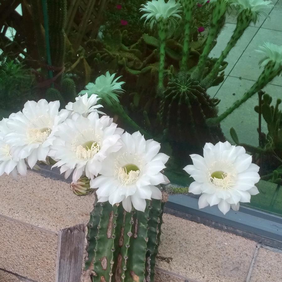 安吉钱有有茶场欢迎您