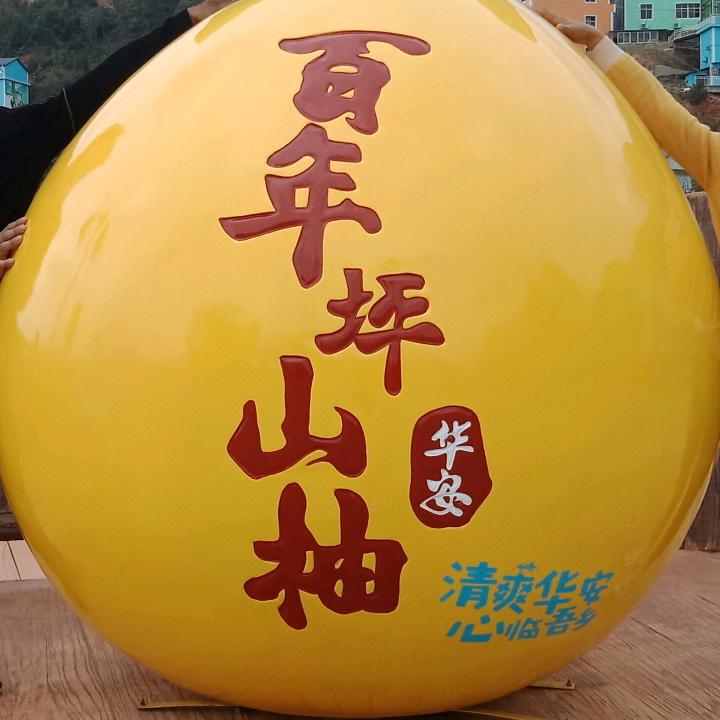 琴