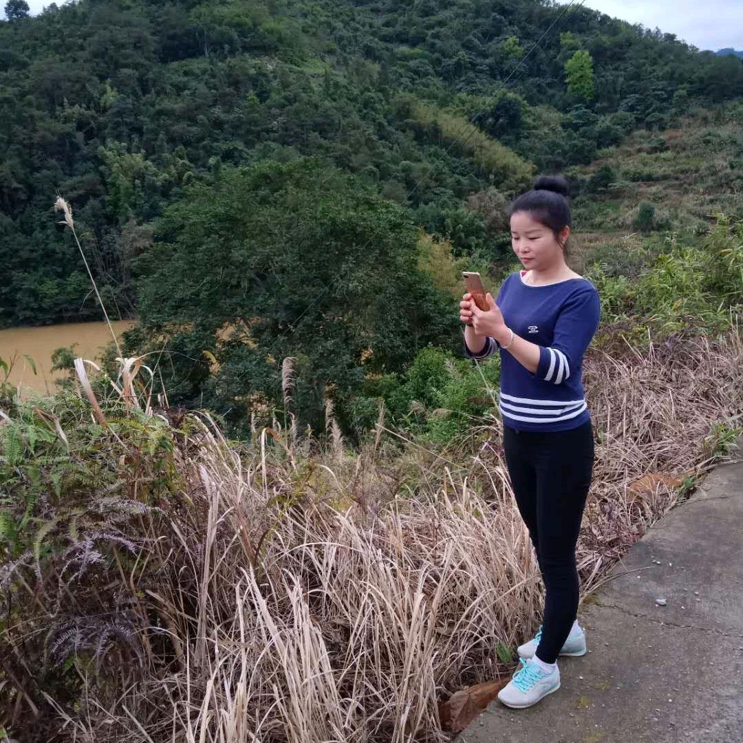 梅为君开  君为梅来