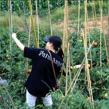 大妹子农场