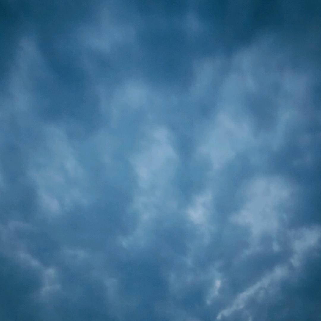 漂泊异乡
