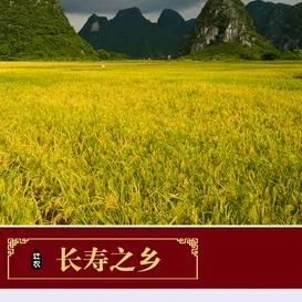 罗哥说旅游