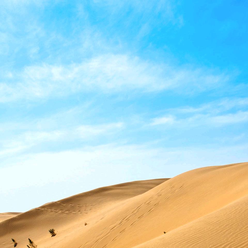 恒元动保---小段