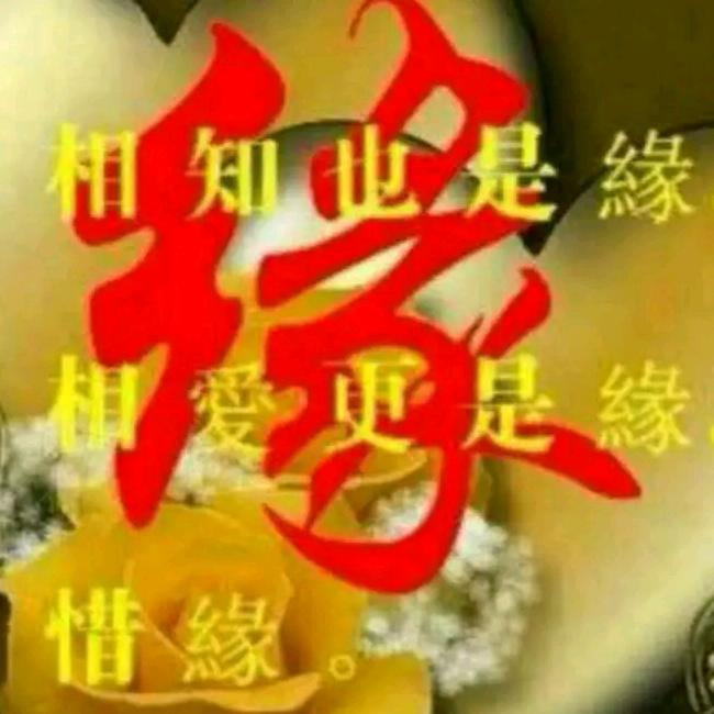 一条香烟