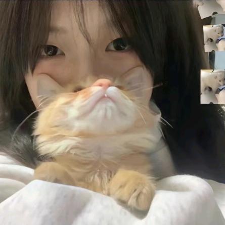 酸酸.
