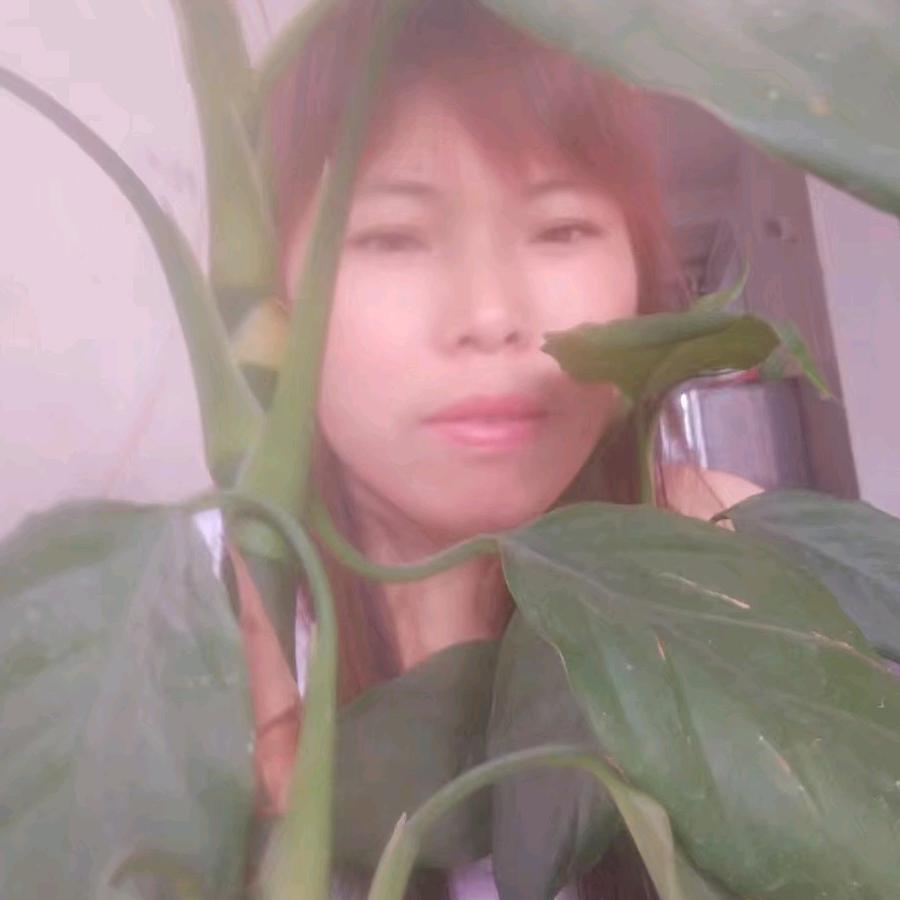 梅花🌺🌾🌾