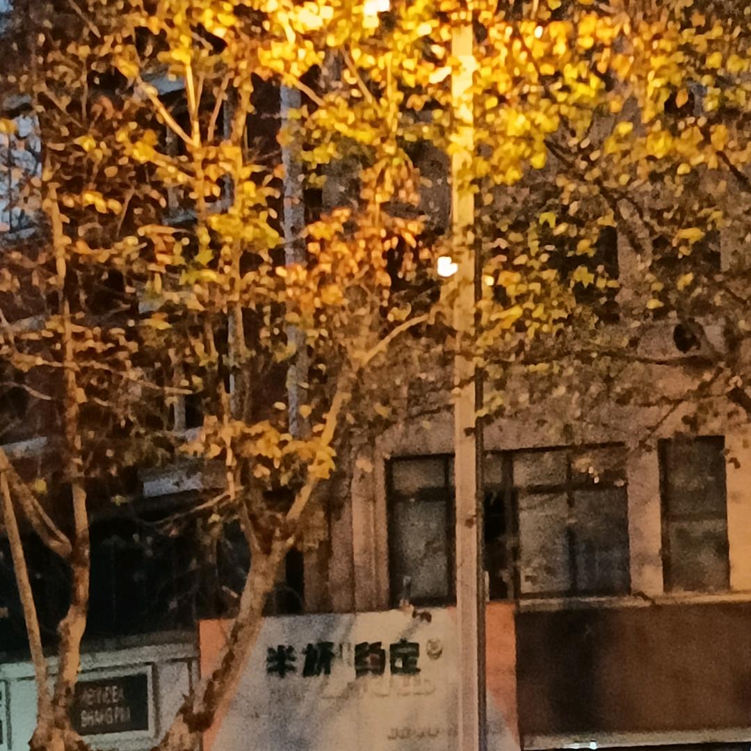 雪宝