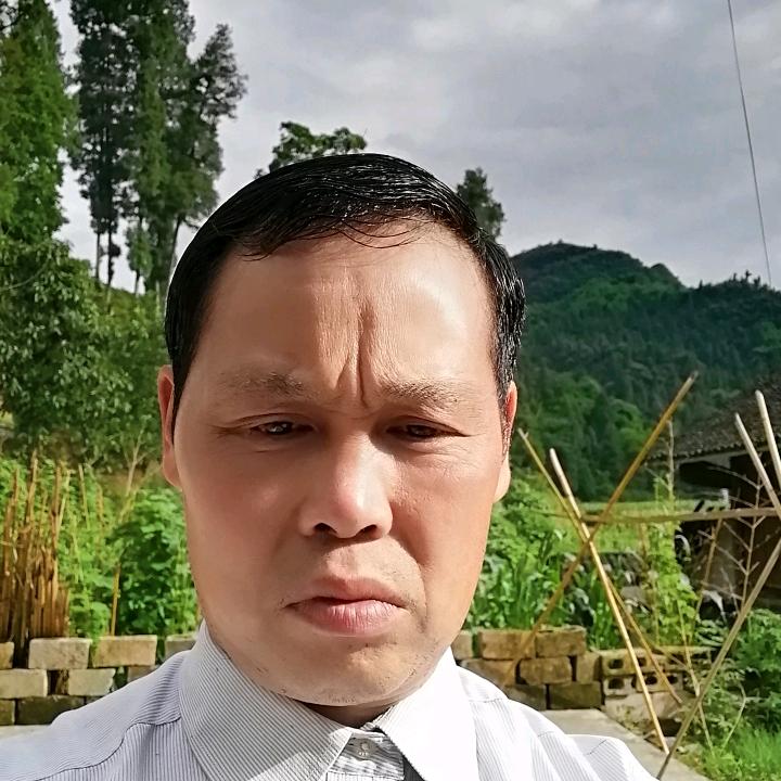 杨洪