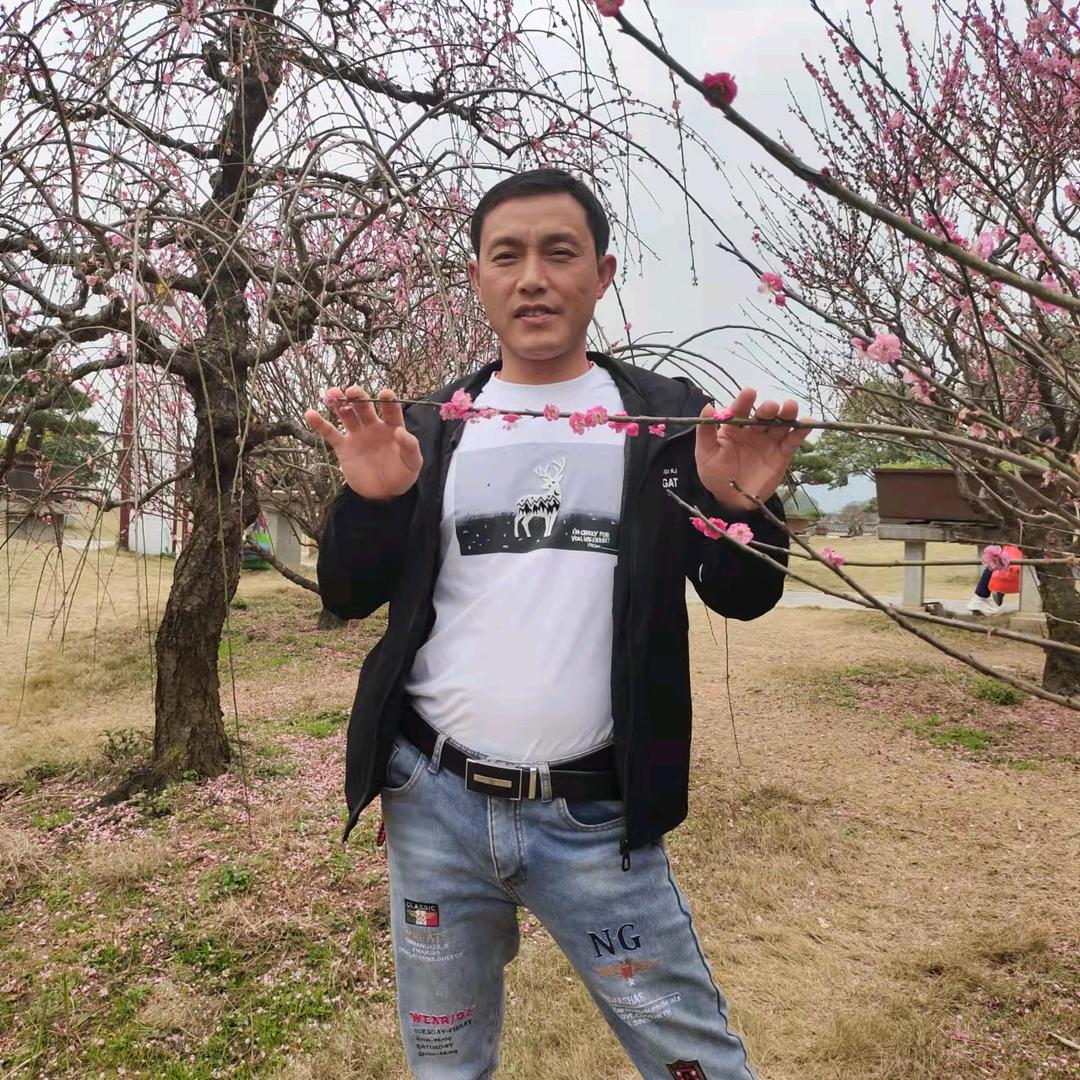 辉哥