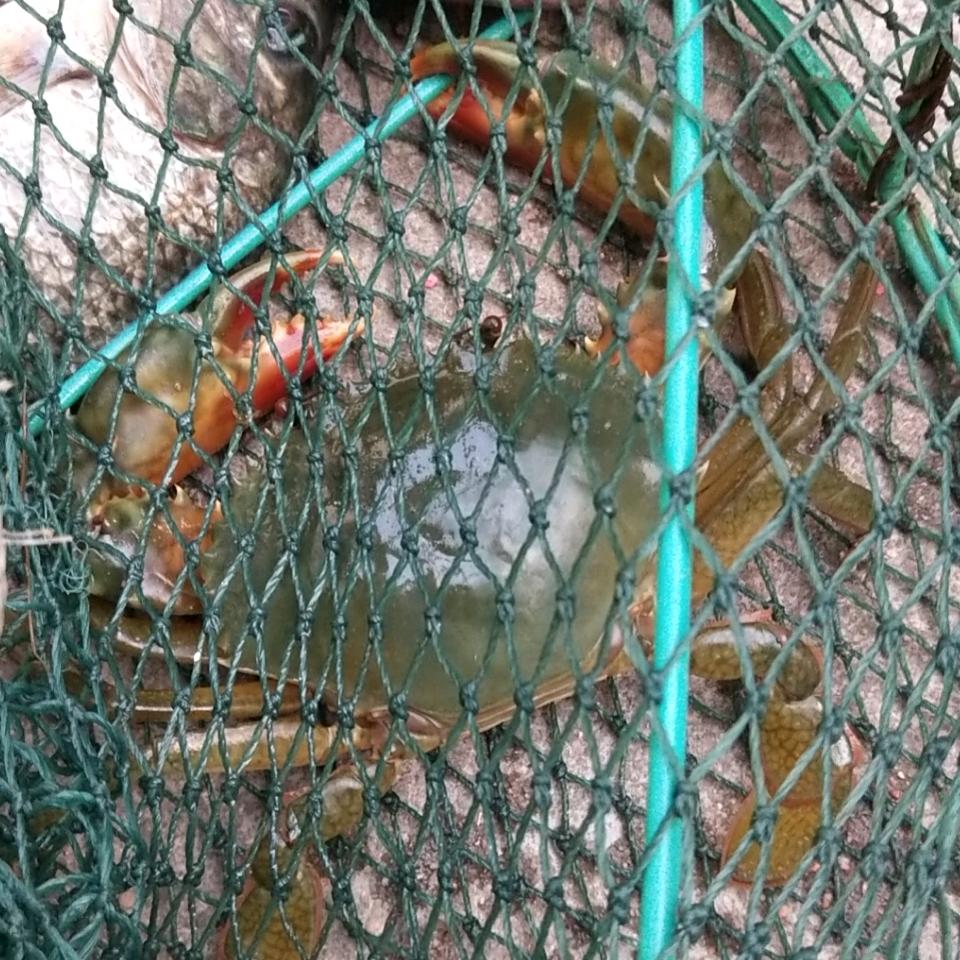 用户7486562171288