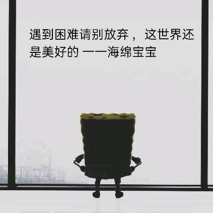 韦导