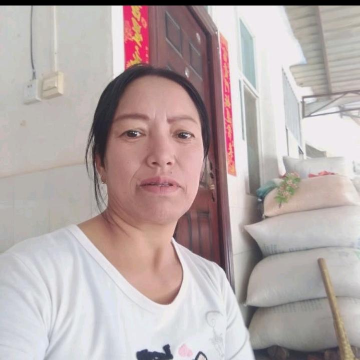 郑小英