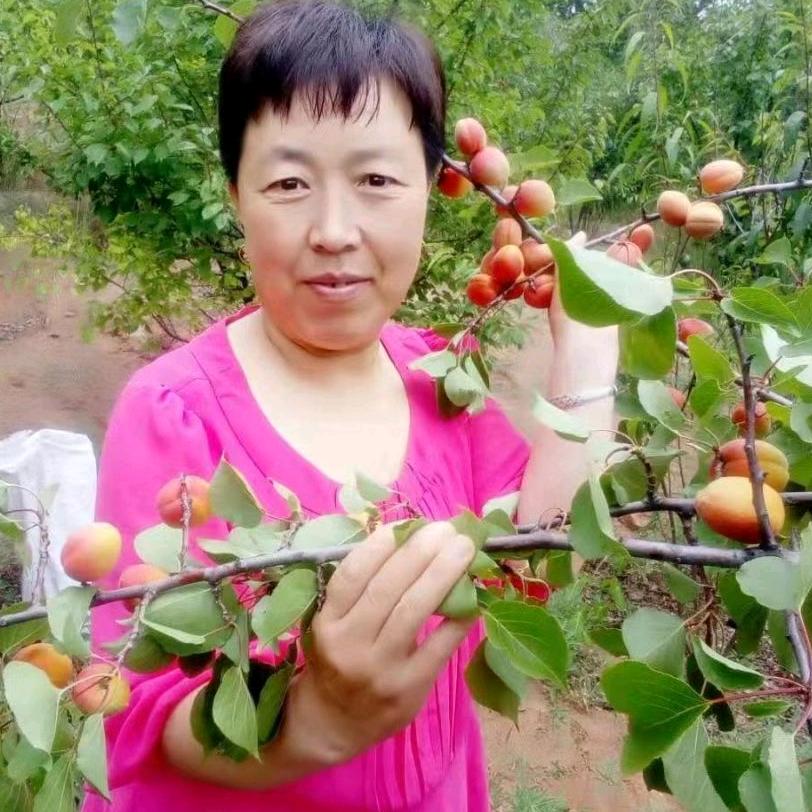 杨红（拒连赞）