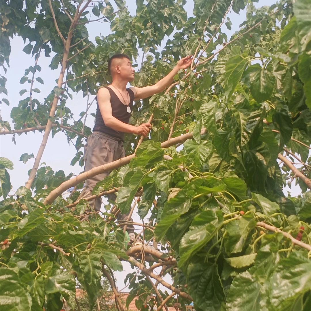聚福源农家院