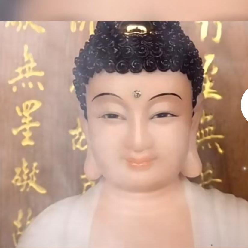 无忧人生     善 缘