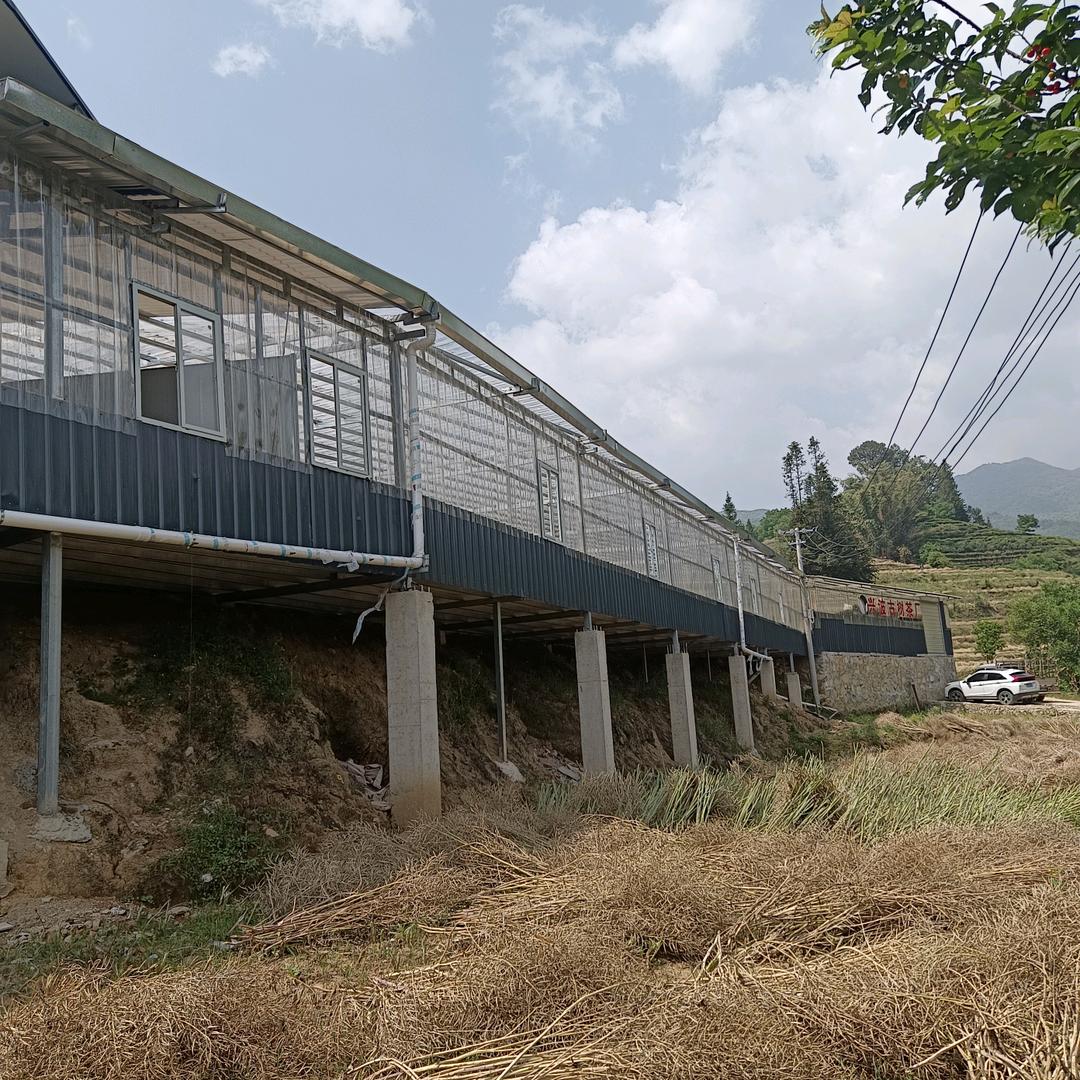 兴波茜海古茶合作社