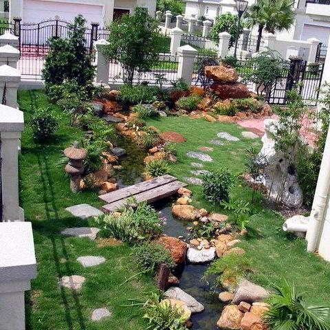 陌念园艺👉强哥