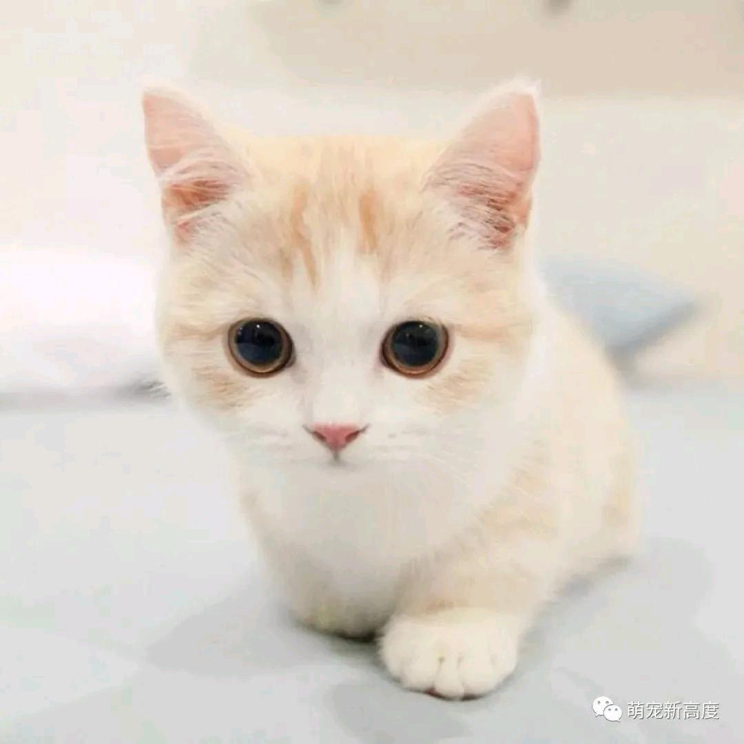 σண♡祥(*･´ω`･)っ; I'm