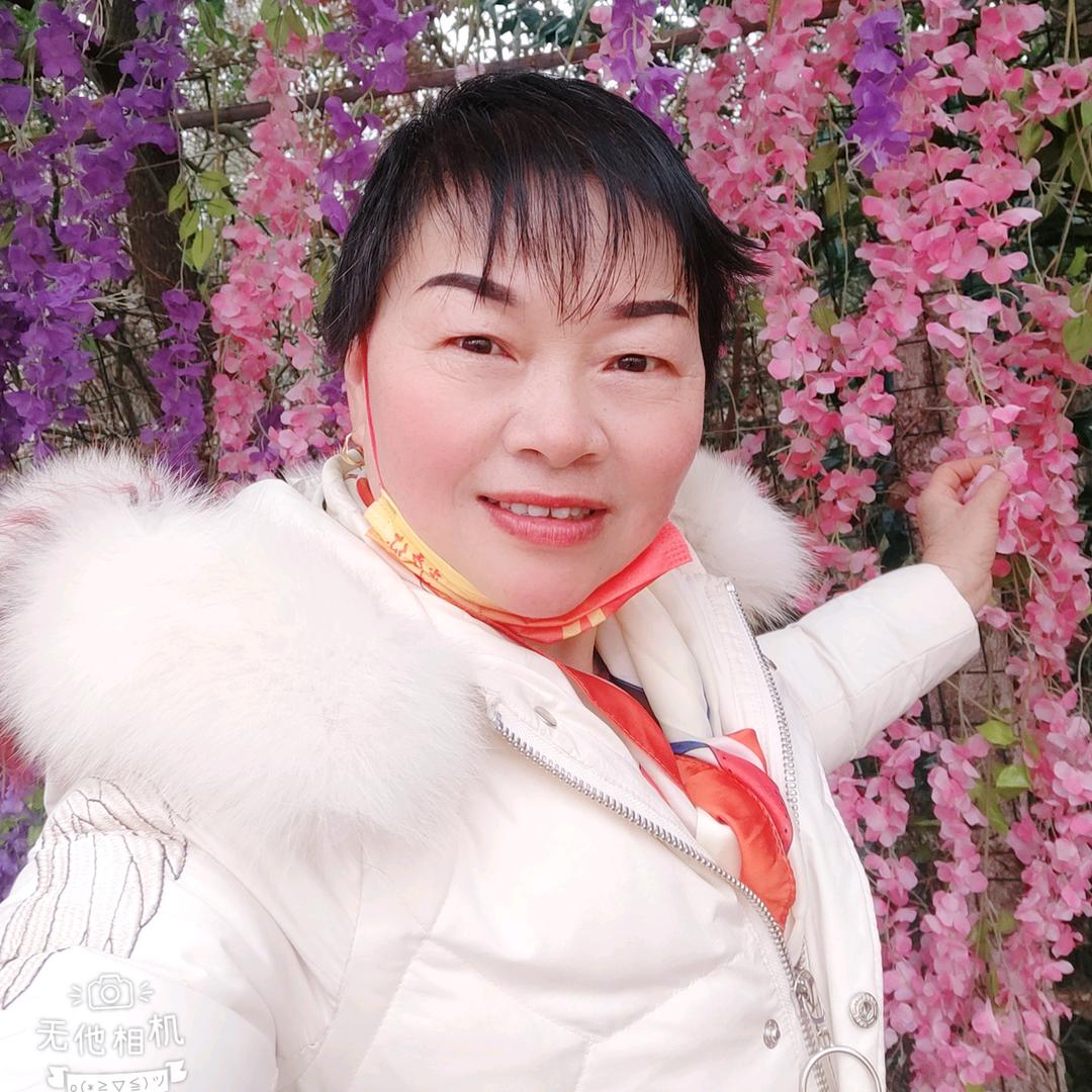 玫瑰天使