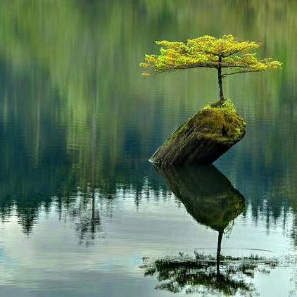 亲爱的路人@抖音