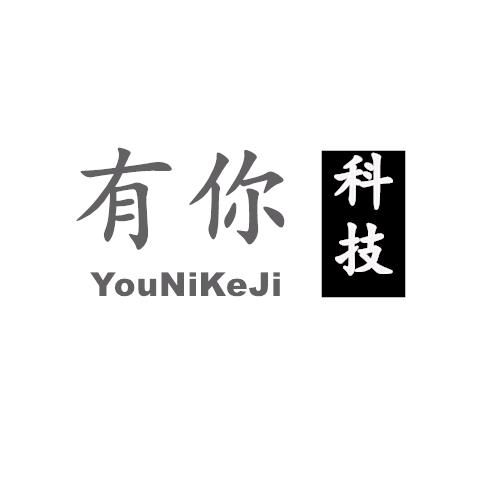 有你科技