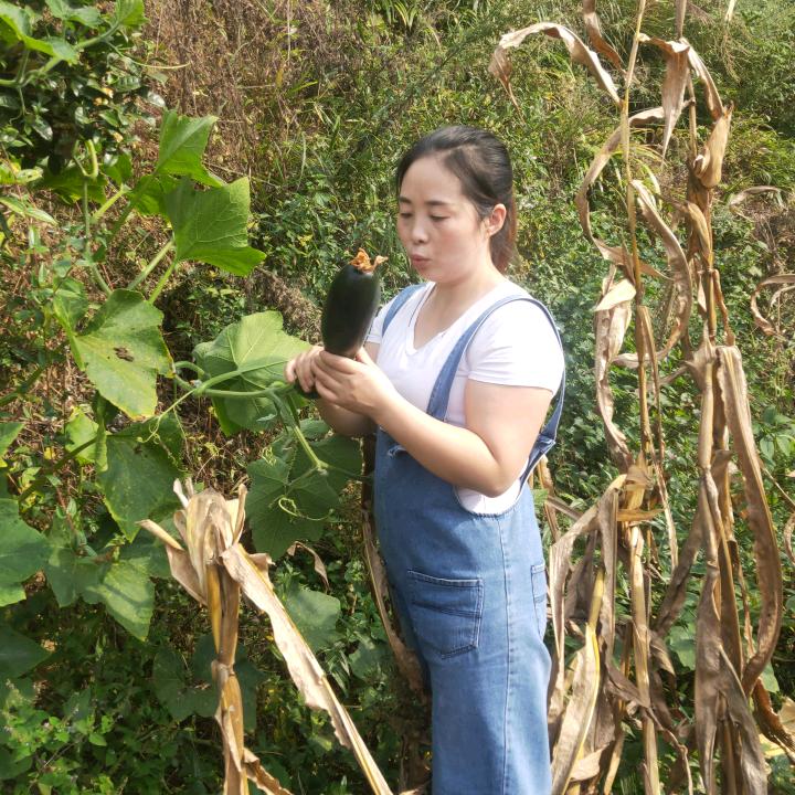 张家界八大公山梅姐土特产品