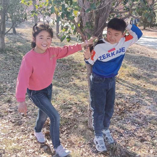 乔(❁´◡`❁)然心动