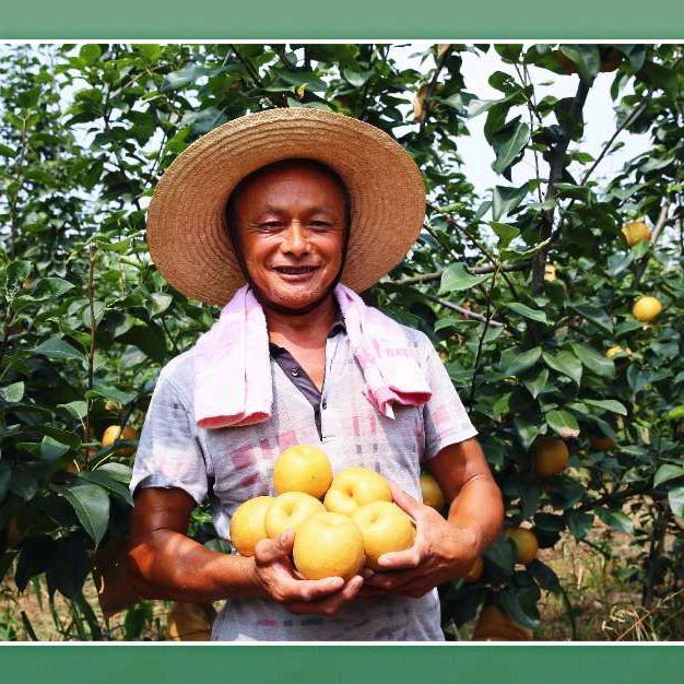 李克维的农产品源头工厂店