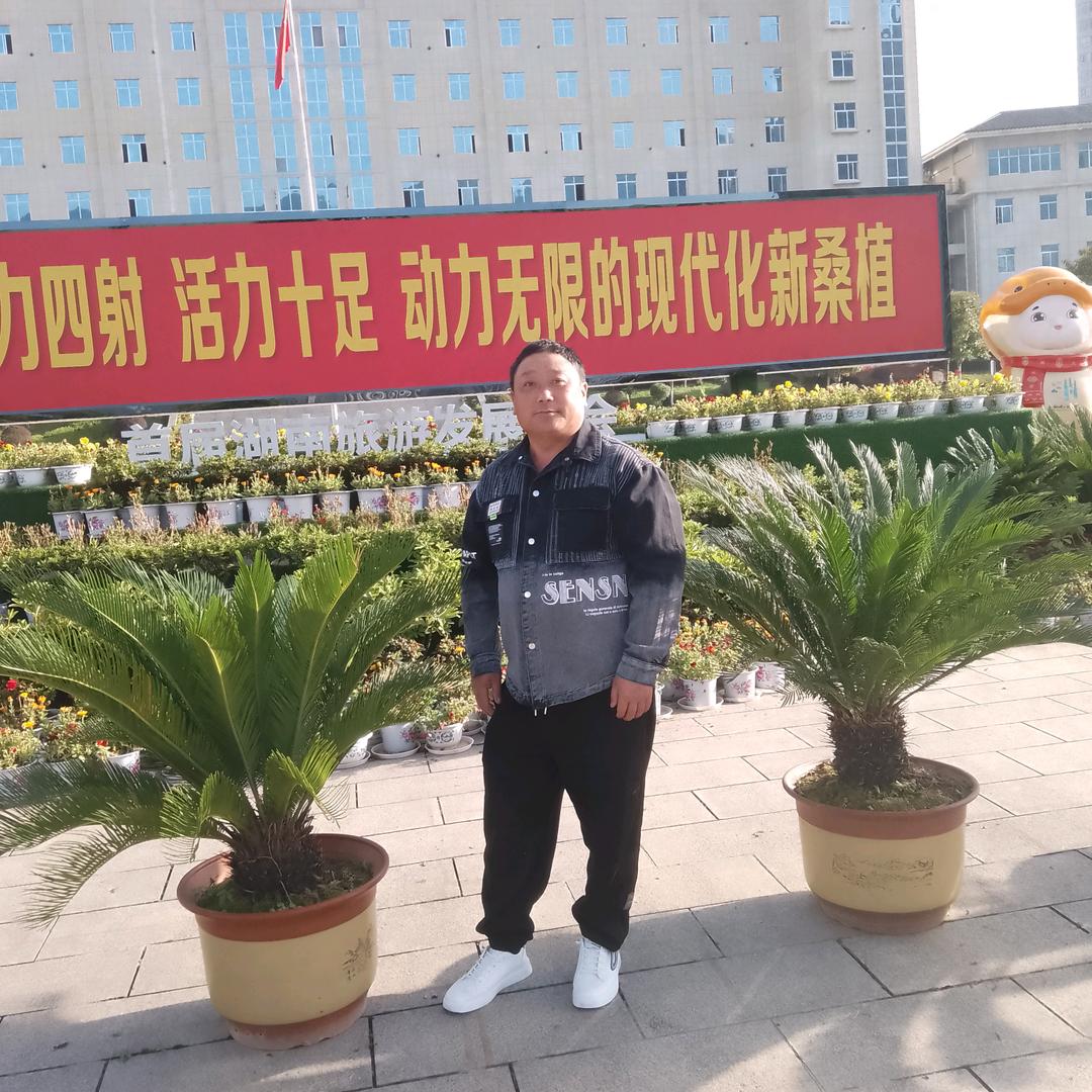 楊帆起航