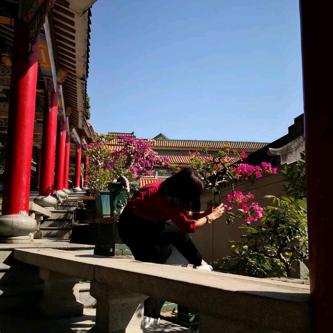 凤姐姐