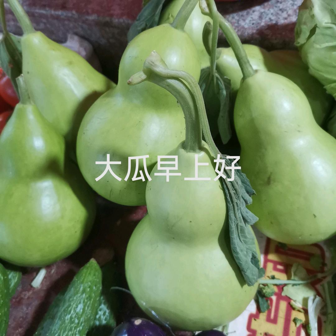 葫芦兄弟