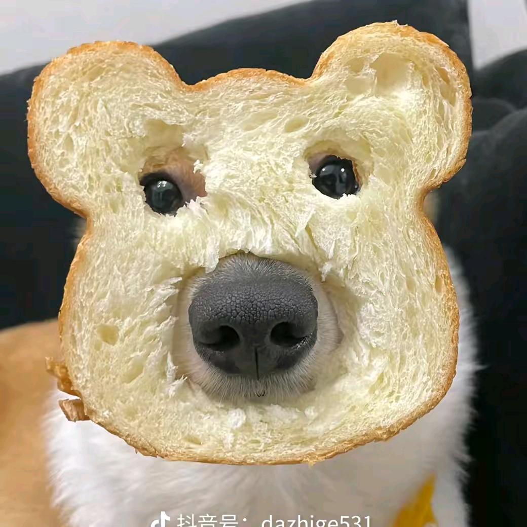 就叫这个吧。