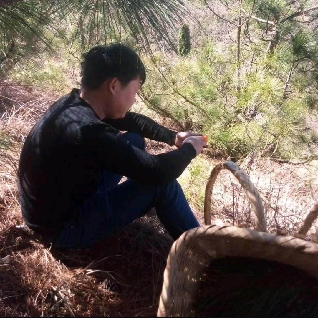 打工人一小孙