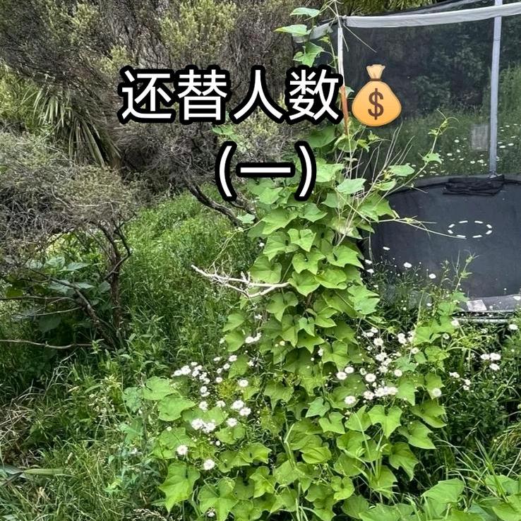 👉张牙🍒仵zhao⊙👈