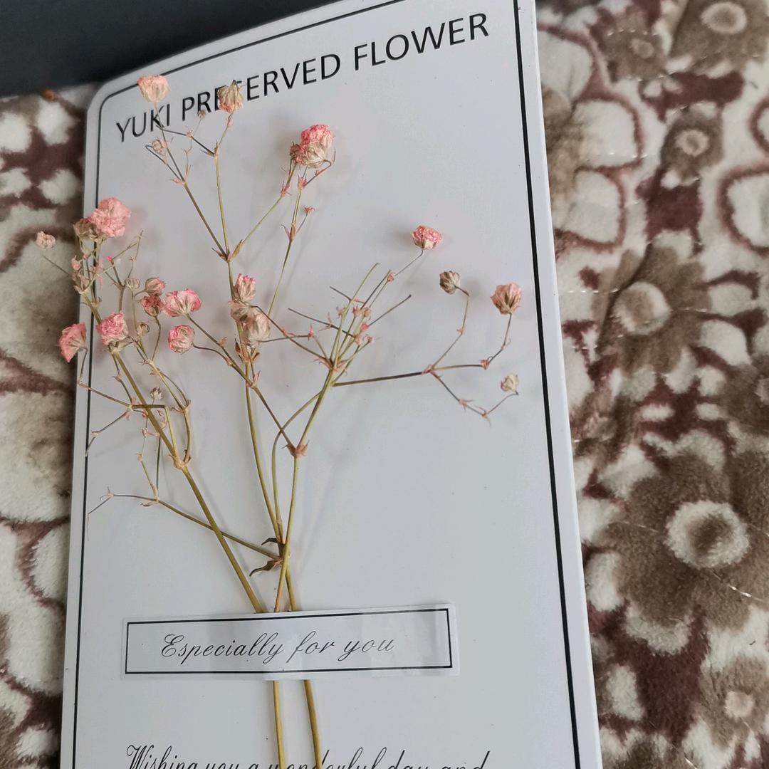 明天会更好
