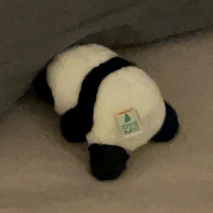 林漆