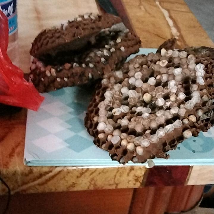 雨花纷飞