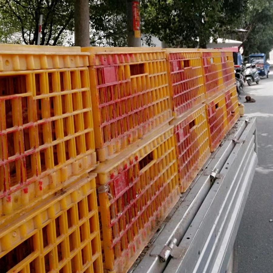 安吉南北湖家禽销售