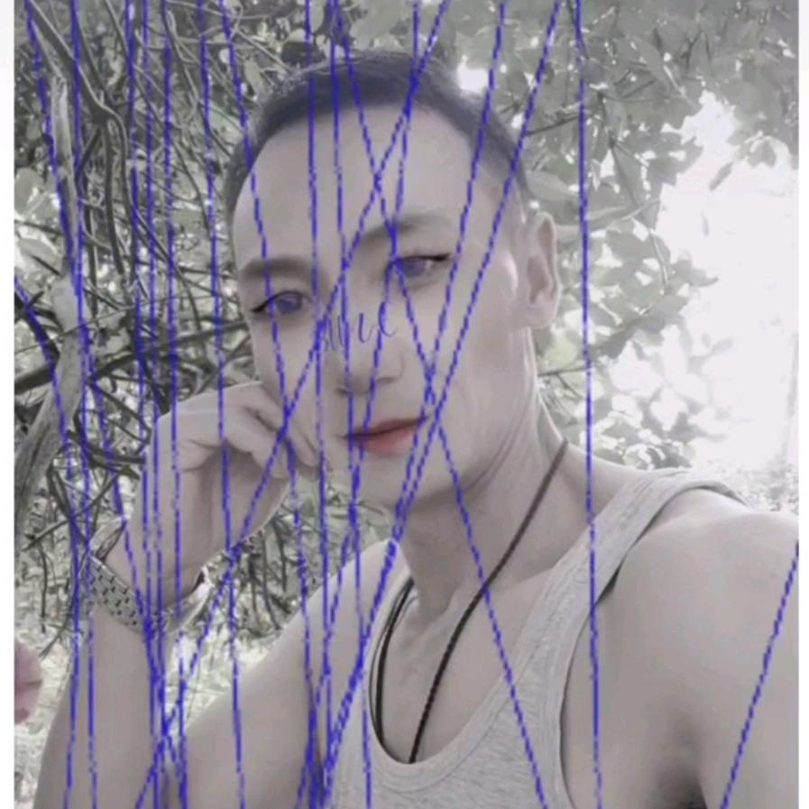 孤飞一狼