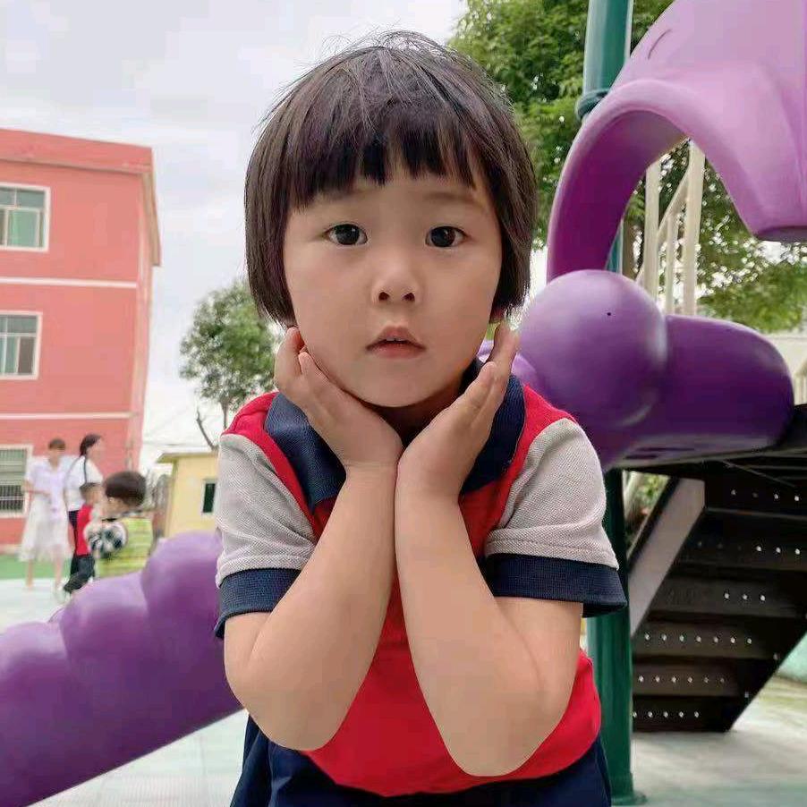 刘总