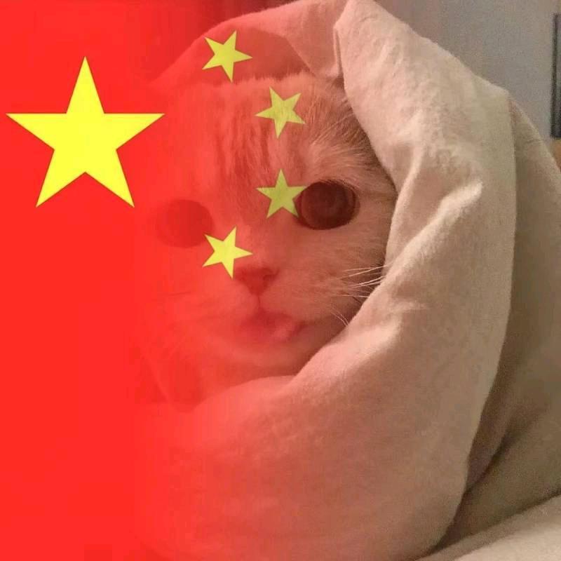 豫V小伙