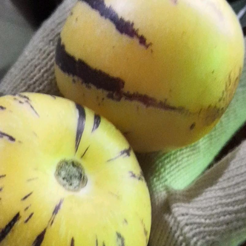 醒悟