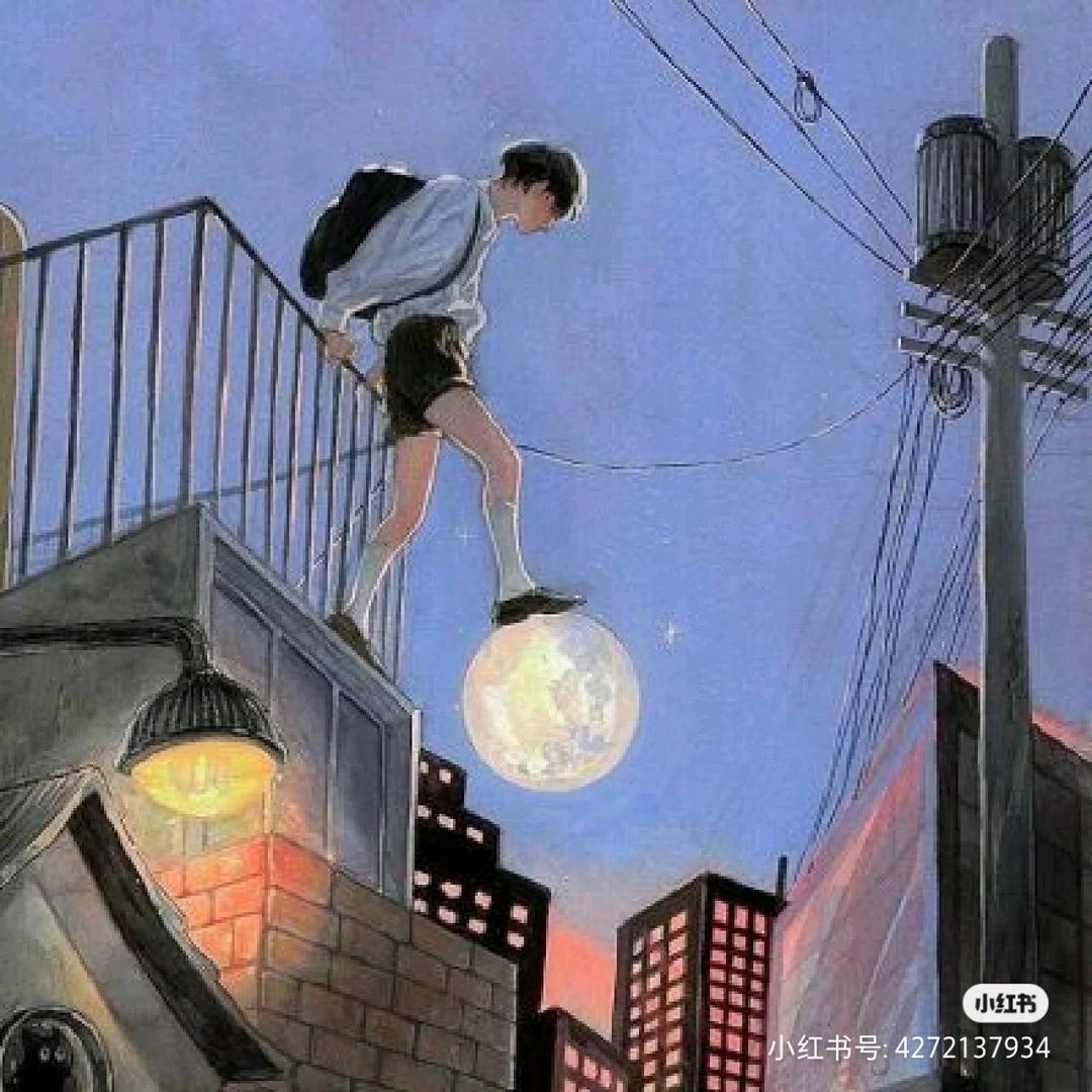 韩晨